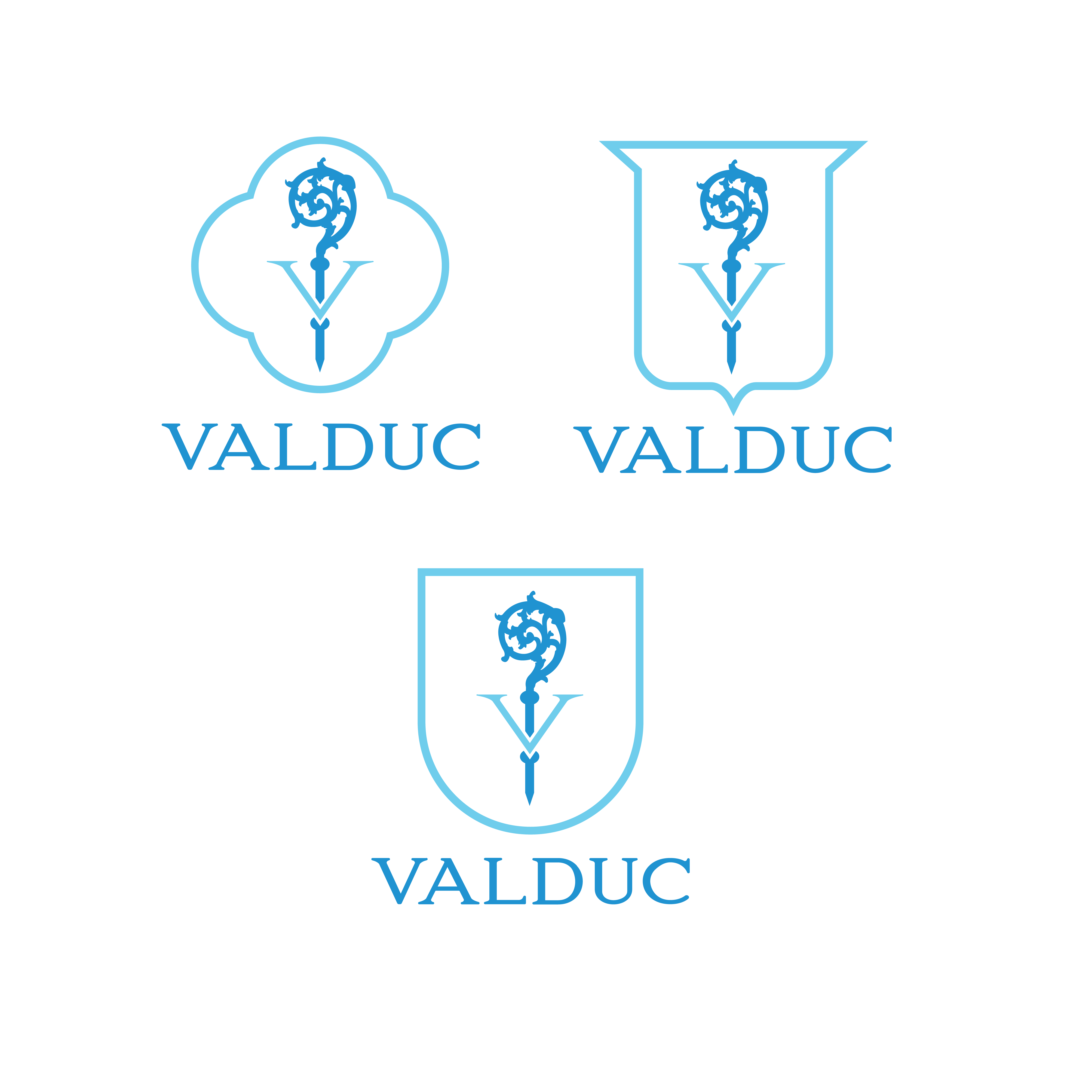 Logo Design by dskyvbc for this project | Design #28062031