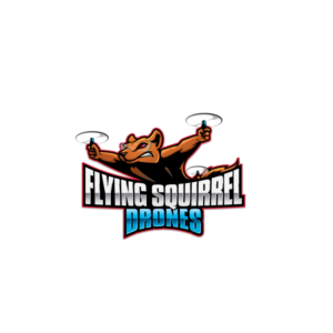 Logo Design by logoford for Flying Squirrel Drones | Design #28063593