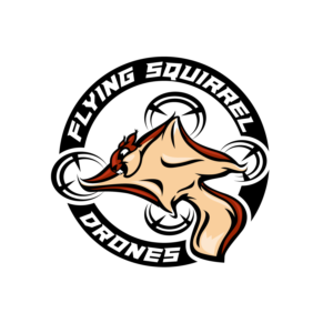 Logo Design by Dream Logo Design for Flying Squirrel Drones | Design: #28066109
