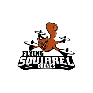 Flying Squirrel Drones | Logo Design by luckdesign
