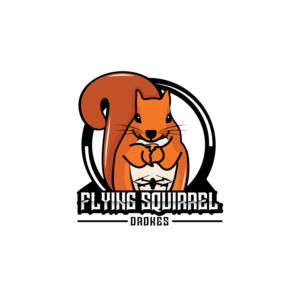 Logo Design by LAXMI DESIGNHUB for Flying Squirrel Drones | Design #28063800