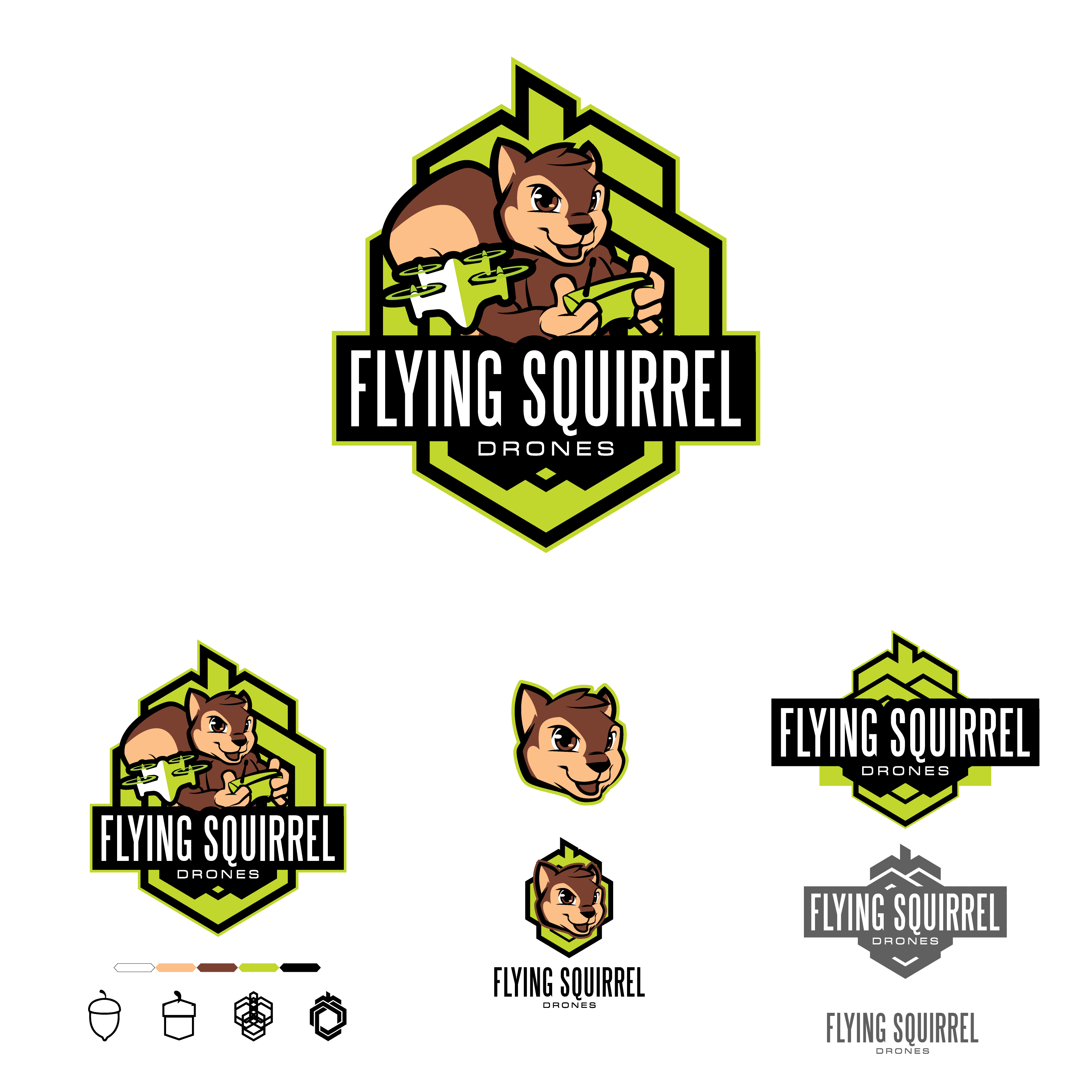 Logo Design by Gabriel T. Marques for Flying Squirrel Drones | Design #28077112