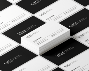Logo Design by YNdesignestic for Tasmania Buyer's Agency | Design: #28074490