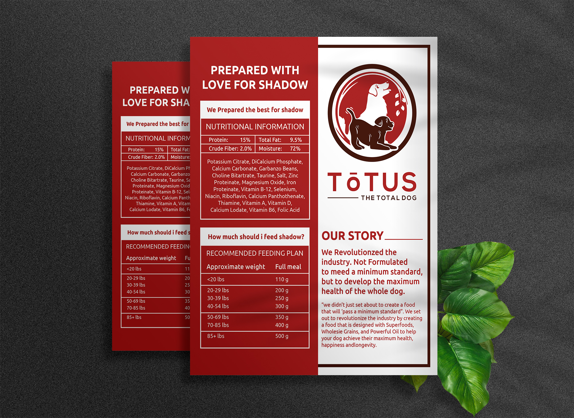Label Design by Deziners Zone for Actus Analytical, Inc. | Design #28080608