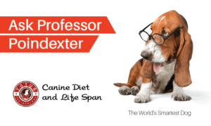 Grafik-Design von liaarts für Actus Analytical, Inc. | Design: #28104540