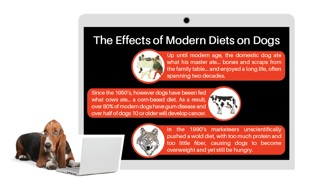 Grafik-Design von liaarts für Actus Analytical, Inc. | Design #28106043