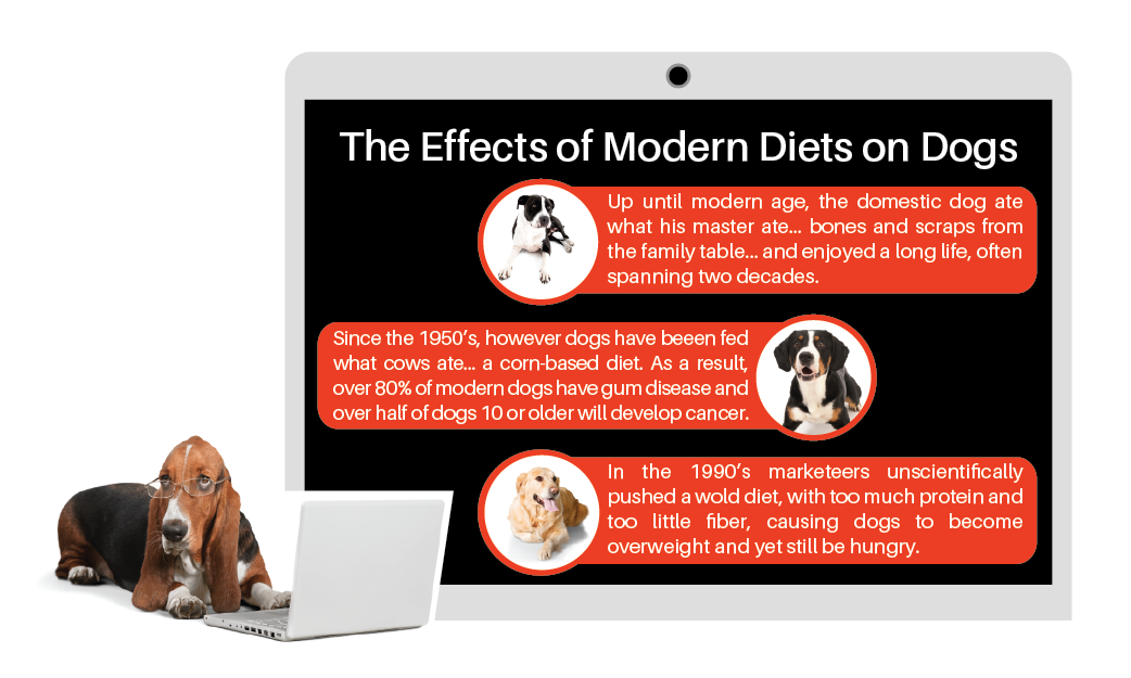 Grafik-Design von liaarts für Actus Analytical, Inc. | Design #28106044