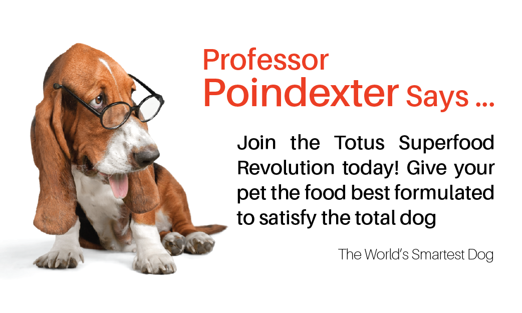 Grafik-Design von liaarts für Actus Analytical, Inc. | Design #28106079