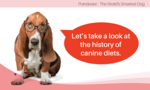 Grafik-Design von liaarts für Actus Analytical, Inc. | Design: #28110850