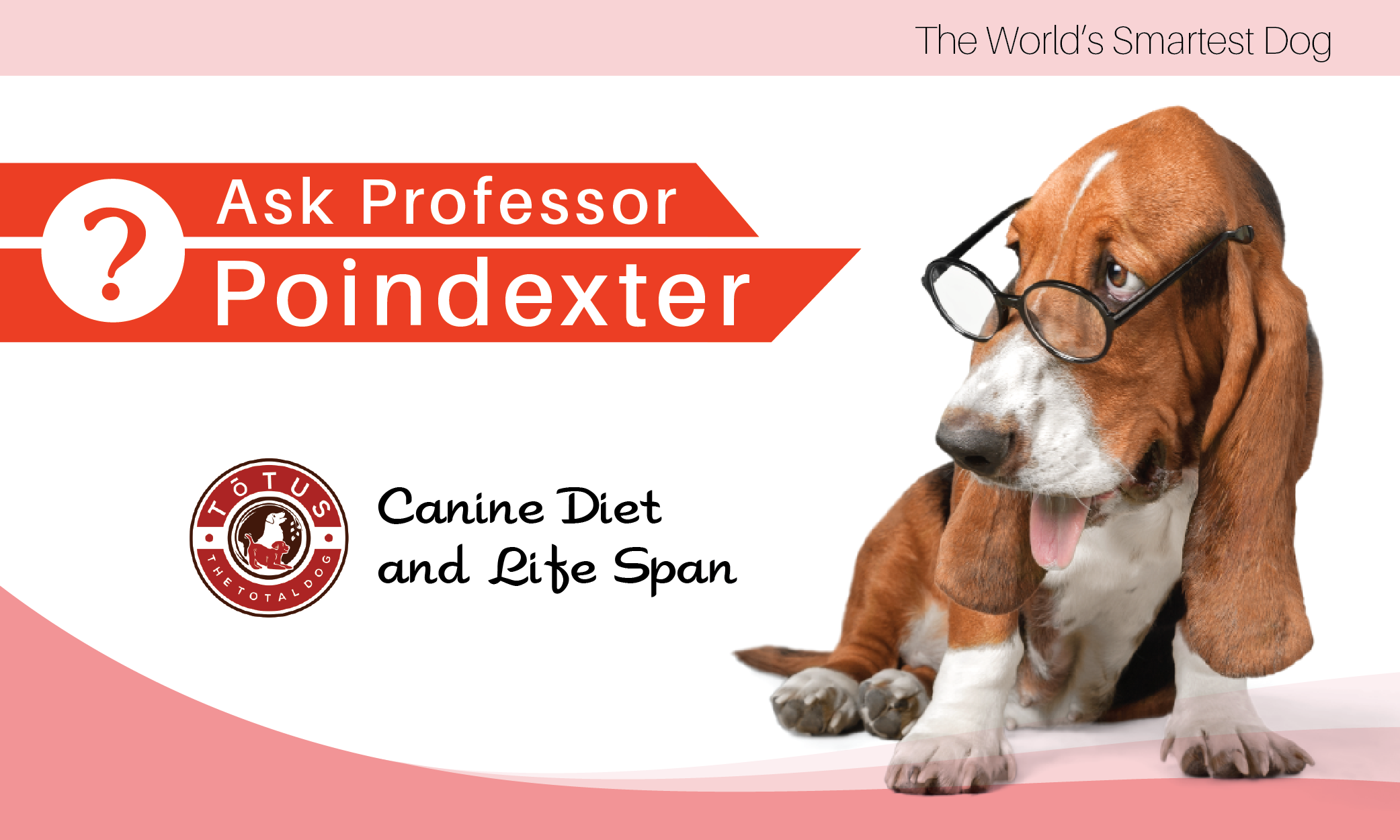 Grafik-Design von liaarts für Actus Analytical, Inc. | Design #28110851