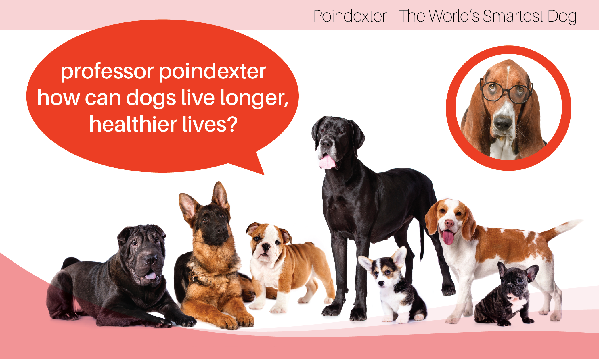 Grafik-Design von liaarts für Actus Analytical, Inc. | Design #28110852