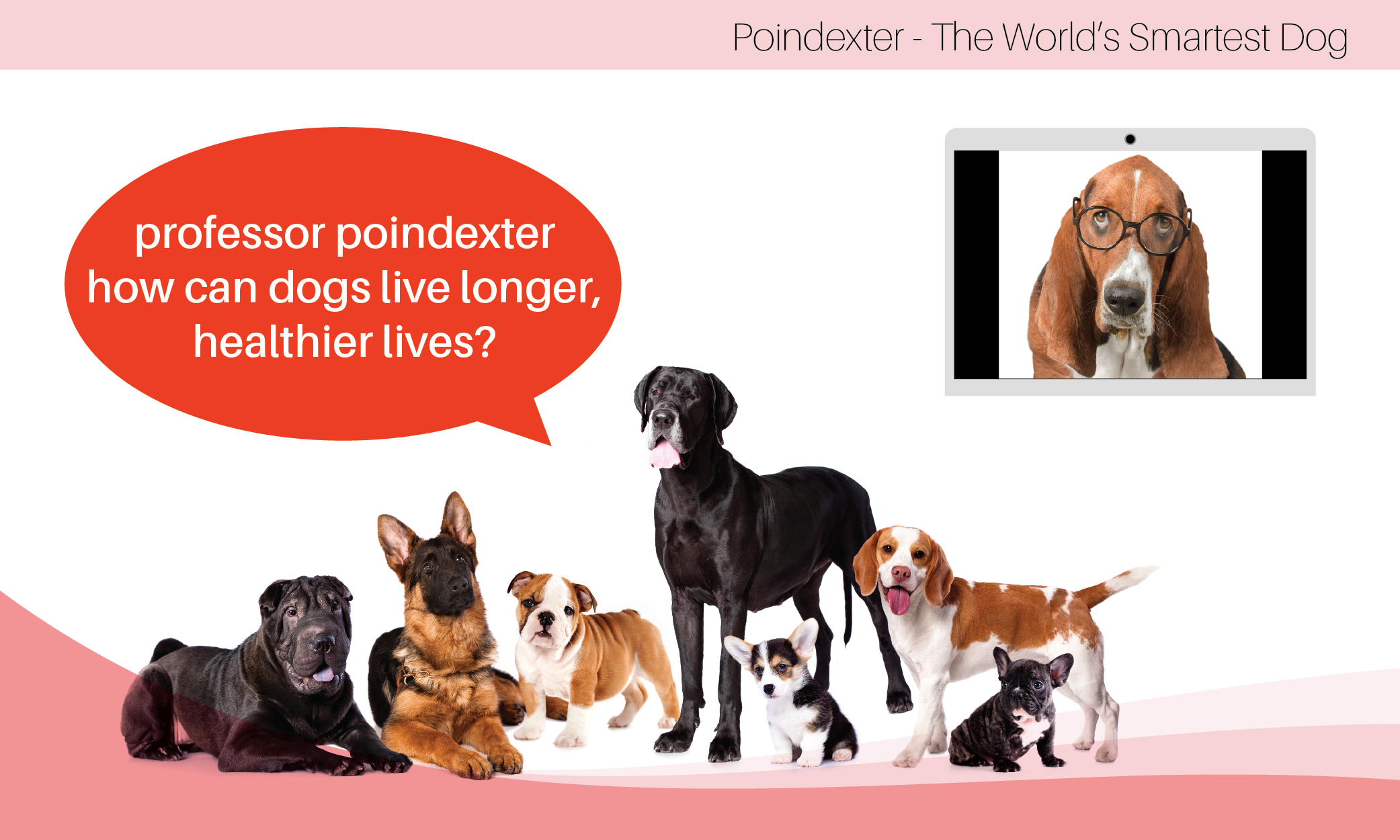 Grafik-Design von liaarts für Actus Analytical, Inc. | Design #28110873