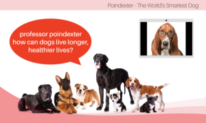 Grafik-Design von liaarts für Actus Analytical, Inc. | Design: #28110873