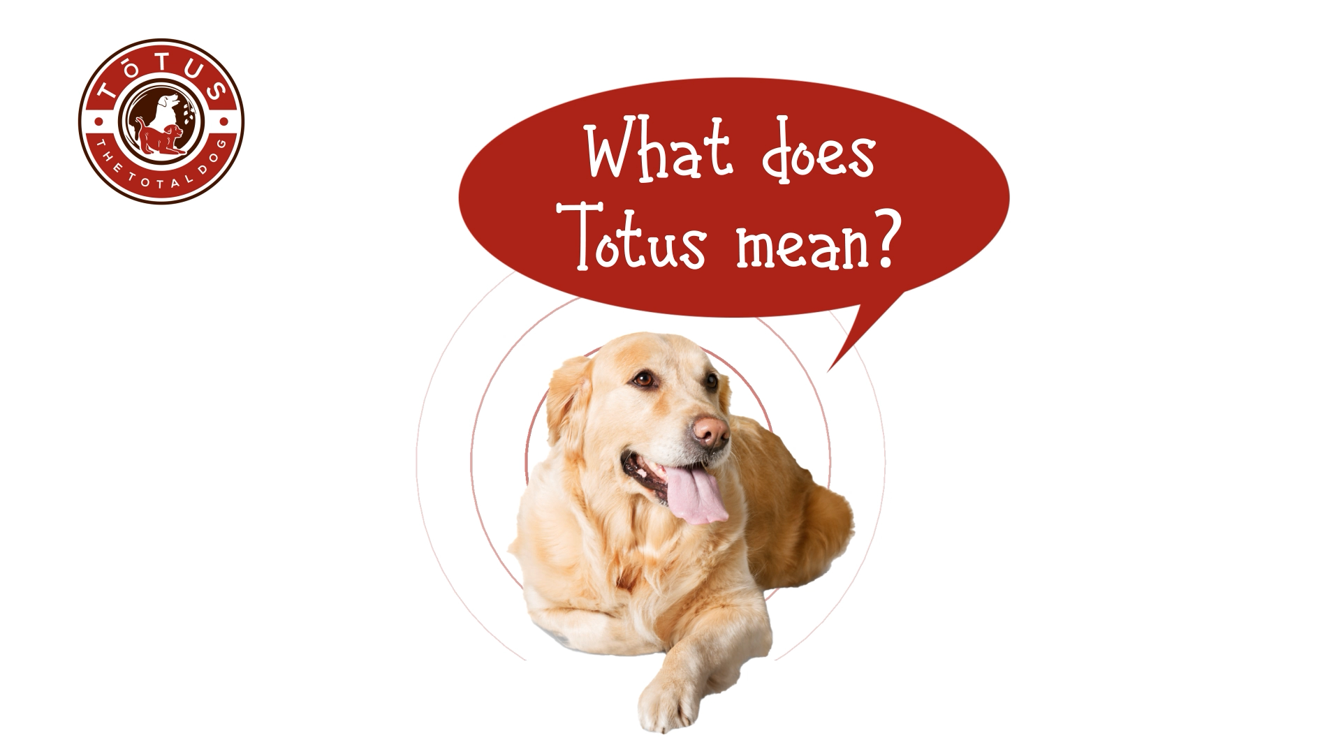 Grafik-Design von Rickyy für Actus Analytical, Inc. | Design #28111975