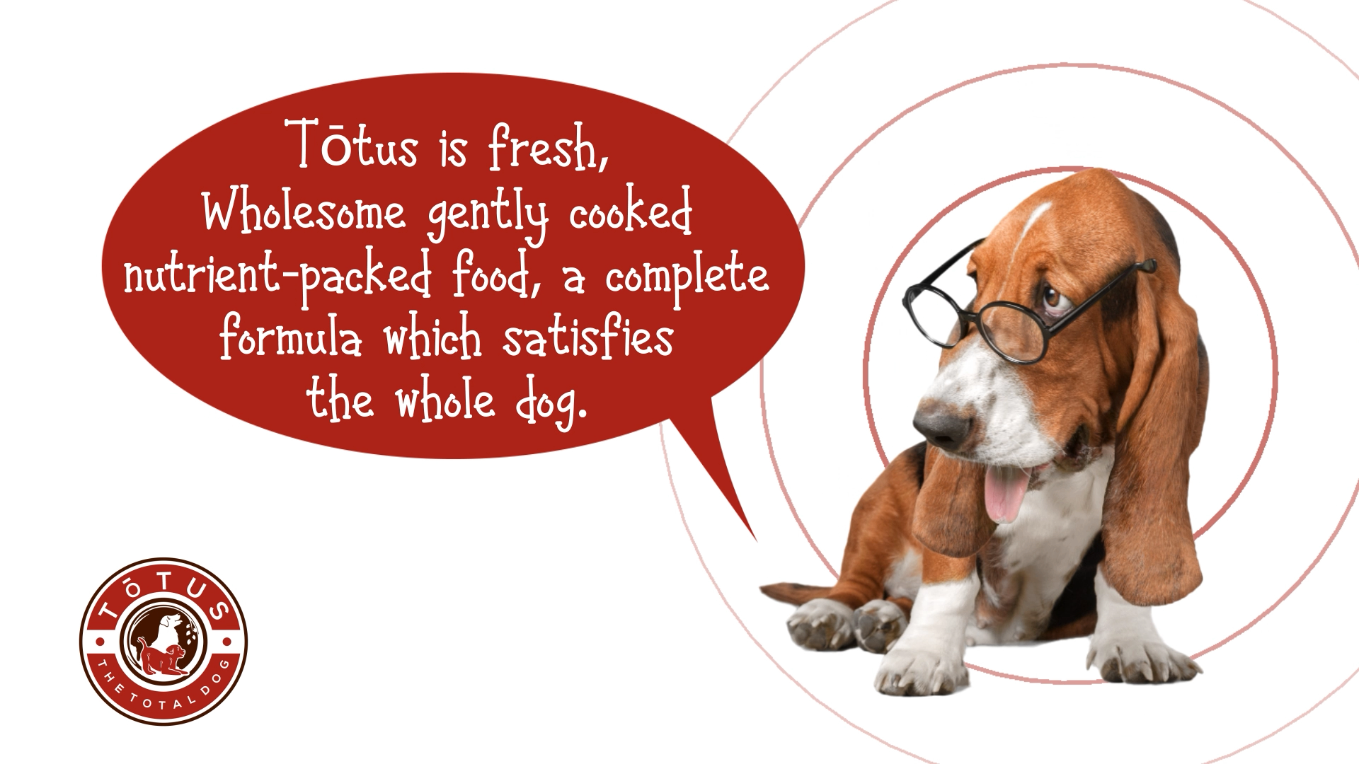 Grafik-Design von Rickyy für Actus Analytical, Inc. | Design #28111976