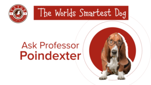 Grafik-Design von Rickyy für Actus Analytical, Inc. | Design: #28111977