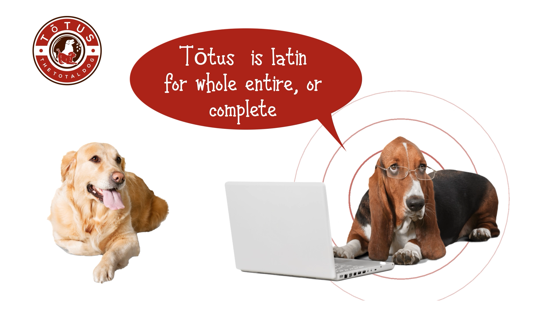 Grafik-Design von Rickyy für Actus Analytical, Inc. | Design #28111978