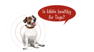 Grafik-Design von Rickyy für Actus Analytical, Inc. | Design: #28111981