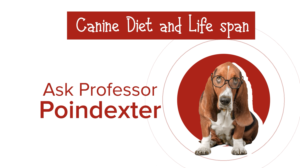 Grafik-Design von Rickyy für Actus Analytical, Inc. | Design: #28111984