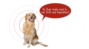 Grafik-Design von Rickyy für Actus Analytical, Inc. | Design: #28111986