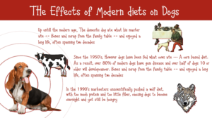 Grafik-Design von Rickyy für Actus Analytical, Inc. | Design: #28111987