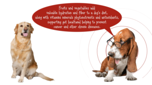 Grafik-Design von Rickyy für Actus Analytical, Inc. | Design: #28111989