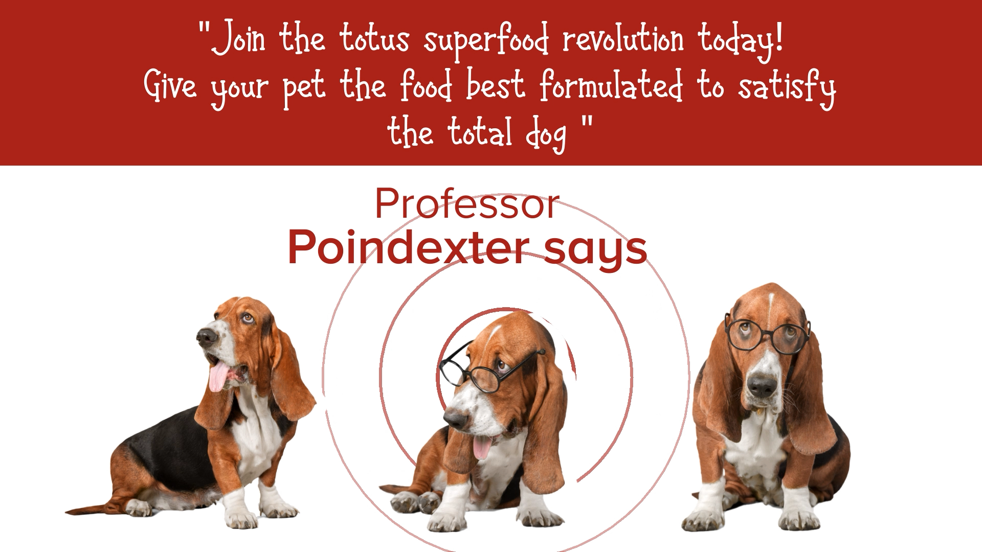 Grafik-Design von Rickyy für Actus Analytical, Inc. | Design #28111990