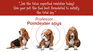 Grafik-Design von Rickyy für Actus Analytical, Inc. | Design: #28111990