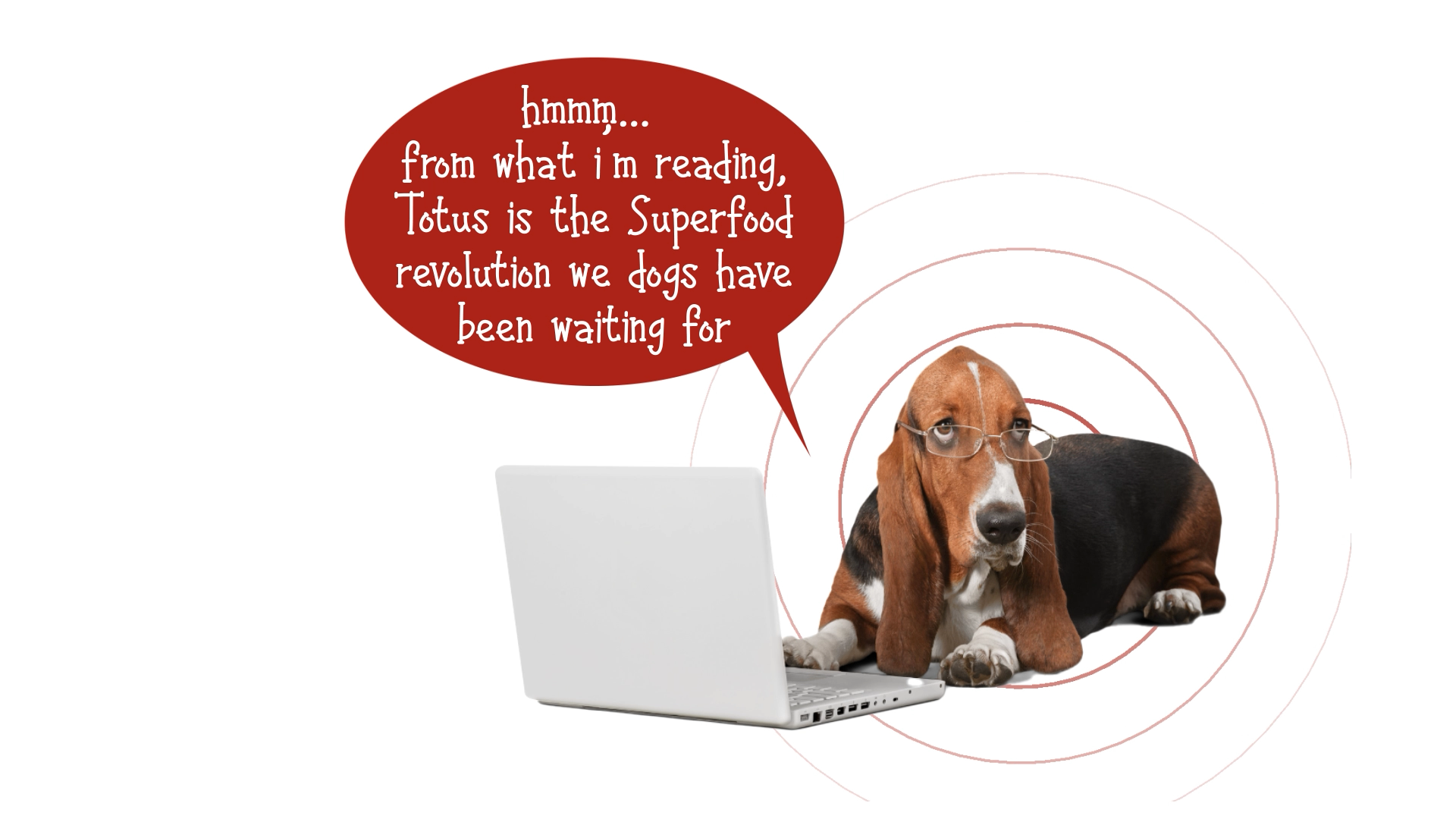 Grafik-Design von Rickyy für Actus Analytical, Inc. | Design #28111991