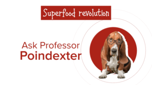 Grafik-Design von Rickyy für Actus Analytical, Inc. | Design: #28111992