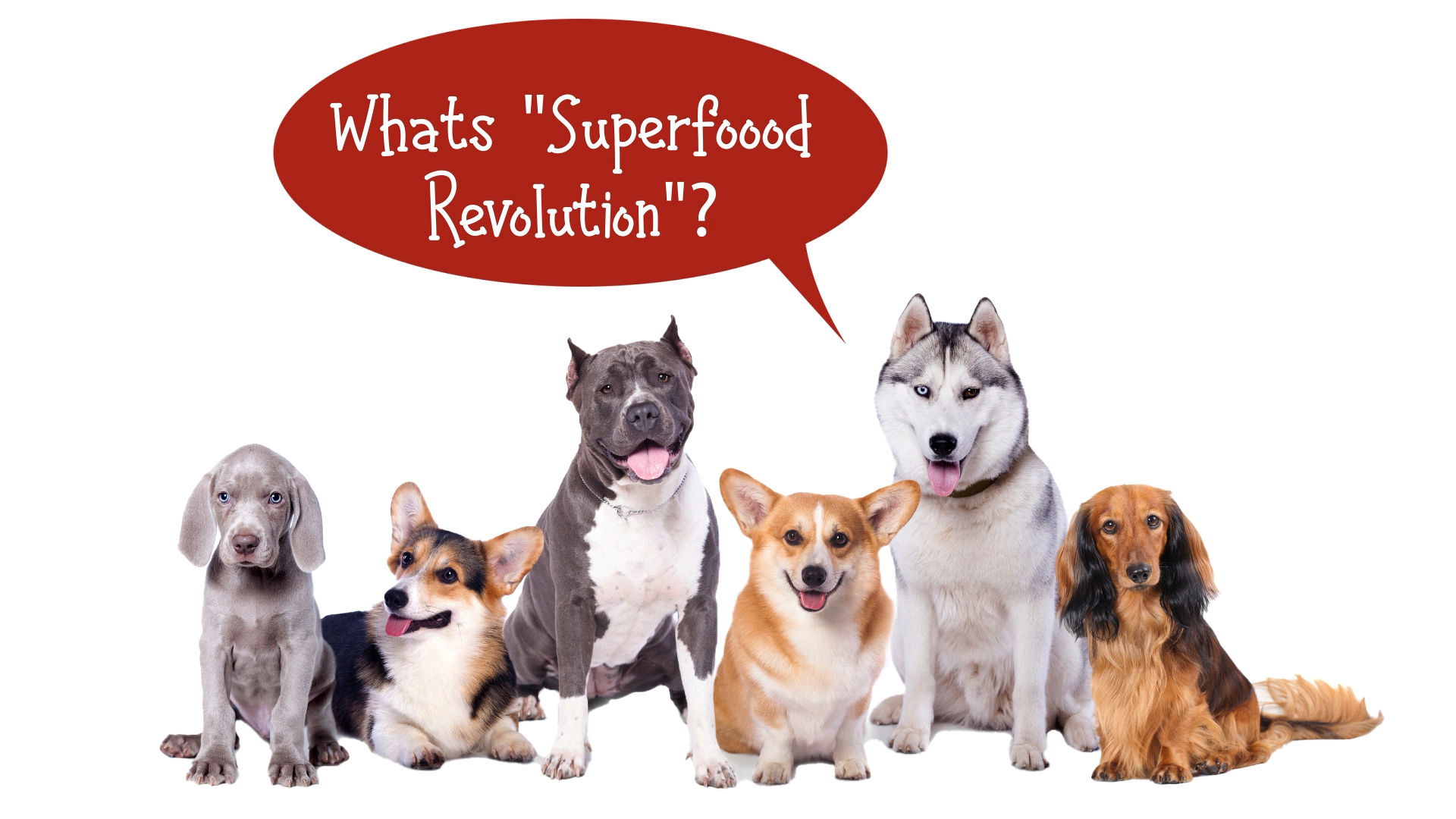 Grafik-Design von Rickyy für Actus Analytical, Inc. | Design #28111993