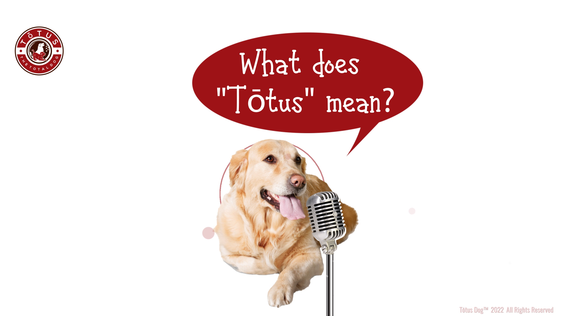 Grafik-Design von Rickyy für Actus Analytical, Inc. | Design #28127805