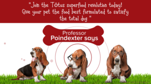 Grafik-Design von Rickyy für Actus Analytical, Inc. | Design: #28127806