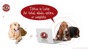 Grafik-Design von Rickyy für Actus Analytical, Inc. | Design: #28127807