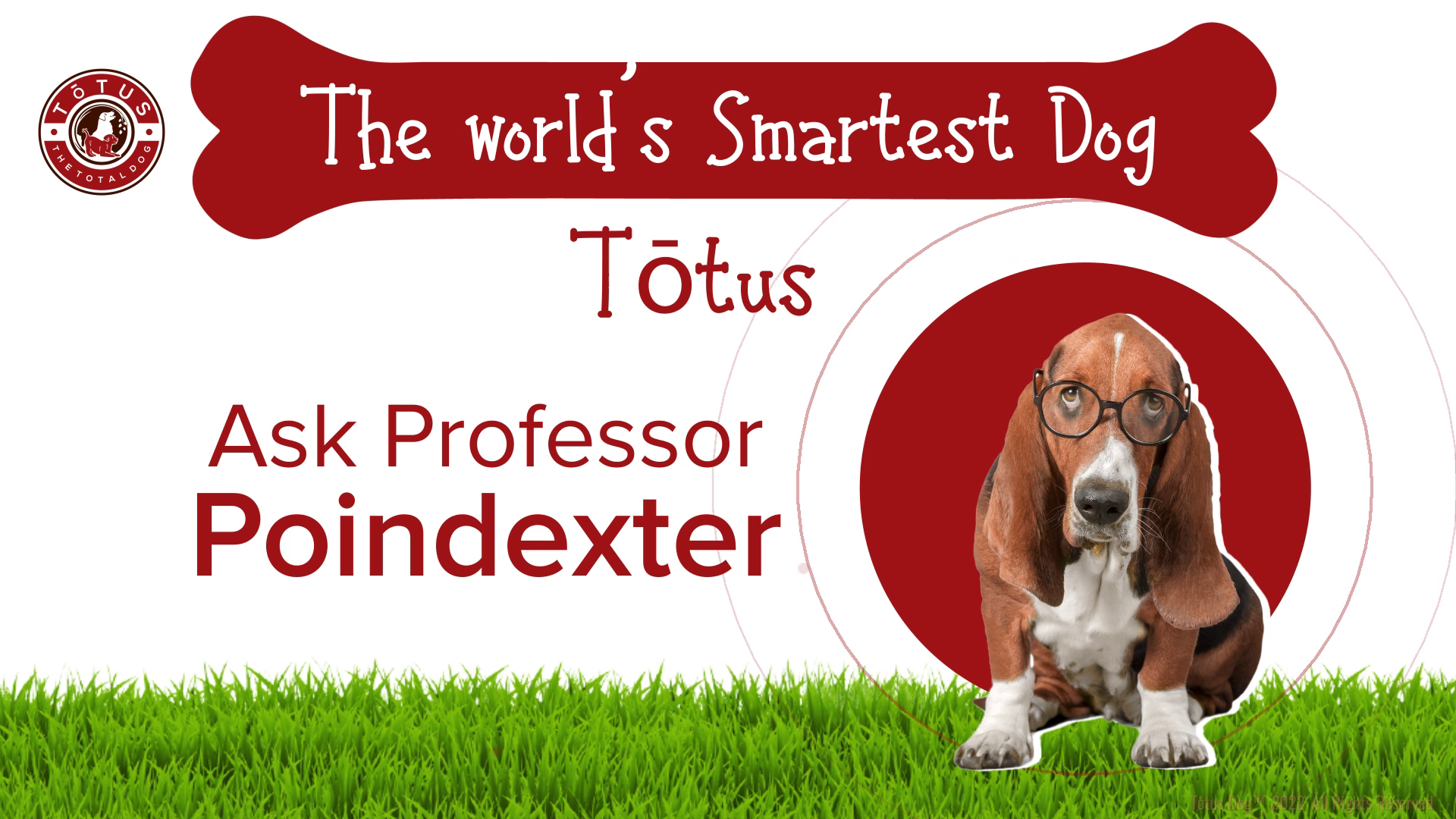 Grafik-Design von Rickyy für Actus Analytical, Inc. | Design #28127809