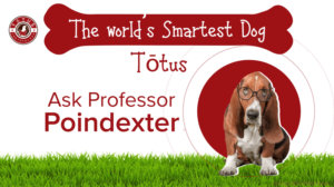 Grafik-Design von Rickyy für Actus Analytical, Inc. | Design: #28127809