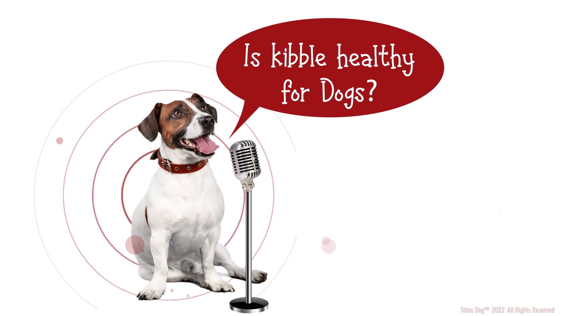 Grafik-Design von Rickyy für Actus Analytical, Inc. | Design #28127813