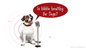 Diseño Gráfico por Rickyy para Actus Analytical, Inc. | Diseño: #28127813