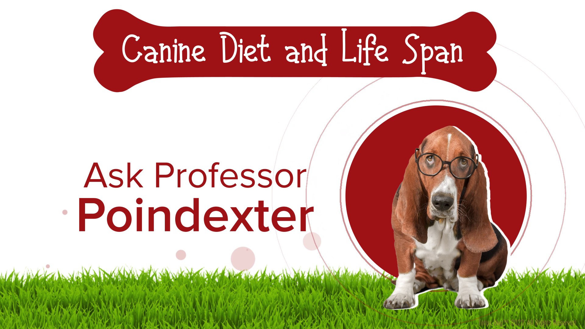 Grafik-Design von Rickyy für Actus Analytical, Inc. | Design #28127814