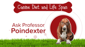 Diseño Gráfico por Rickyy para Actus Analytical, Inc. | Diseño: #28127814