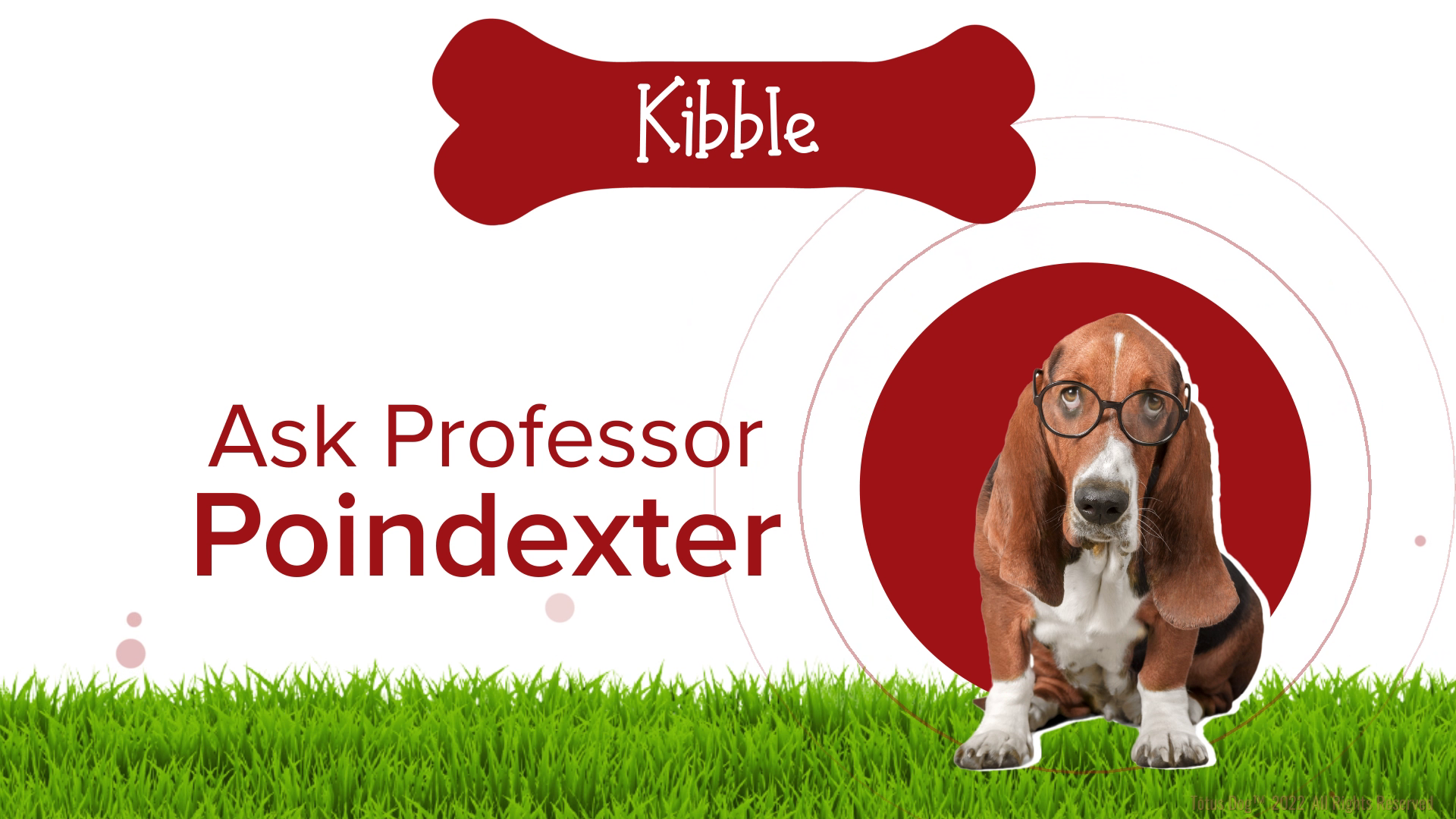 Grafik-Design von Rickyy für Actus Analytical, Inc. | Design #28127815