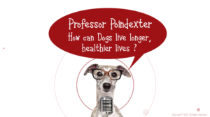 Diseño Gráfico por Rickyy para Actus Analytical, Inc. | Diseño: #28127816