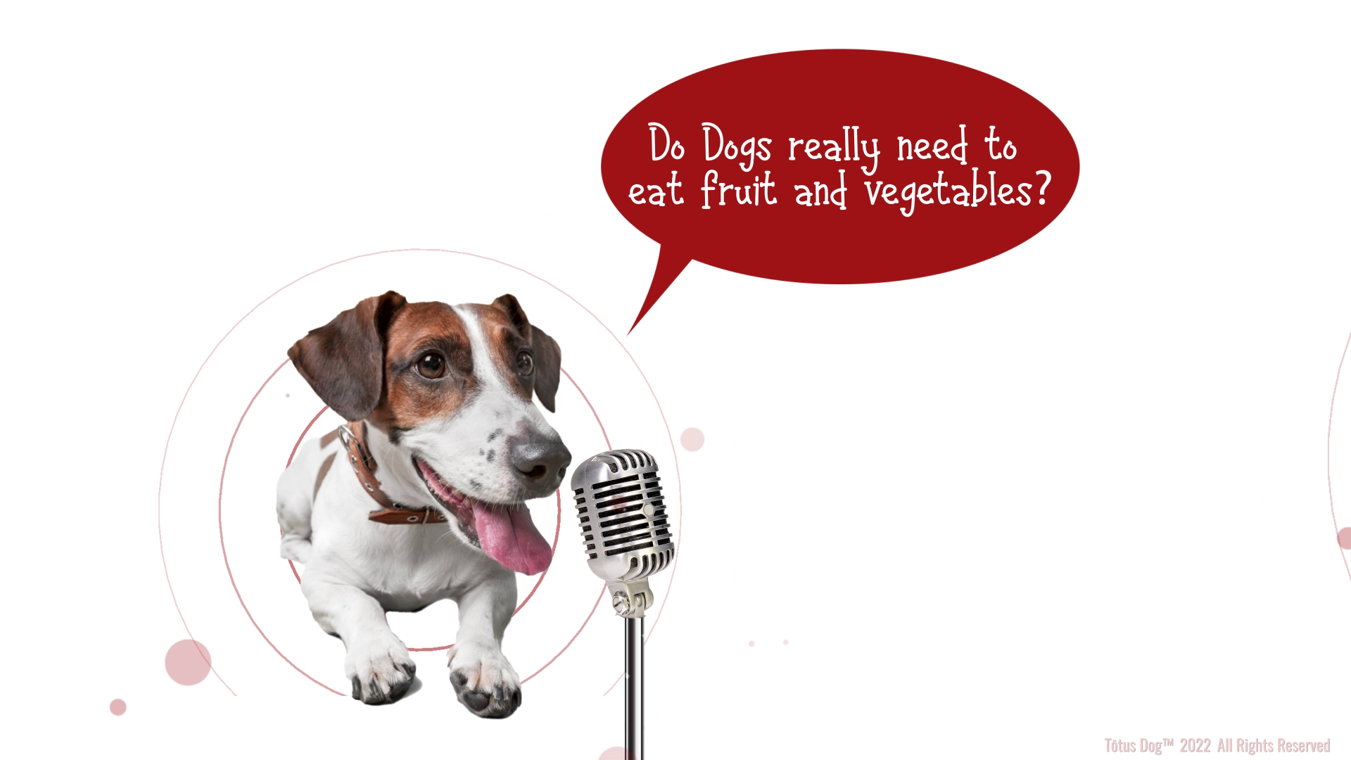 Grafik-Design von Rickyy für Actus Analytical, Inc. | Design #28127817