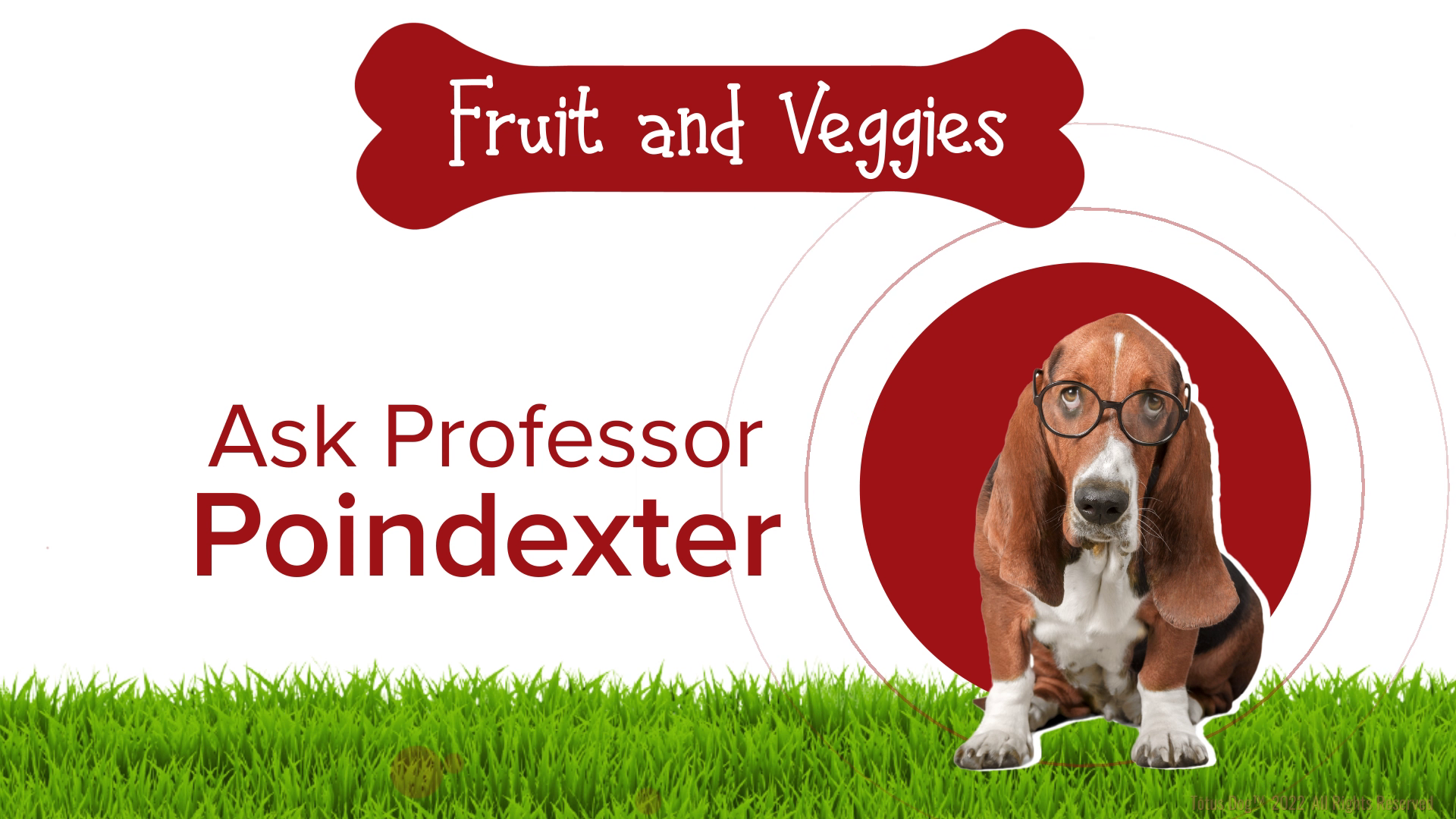 Grafik-Design von Rickyy für Actus Analytical, Inc. | Design #28127819