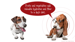 Diseño Gráfico por Rickyy para Actus Analytical, Inc. | Diseño: #28127820