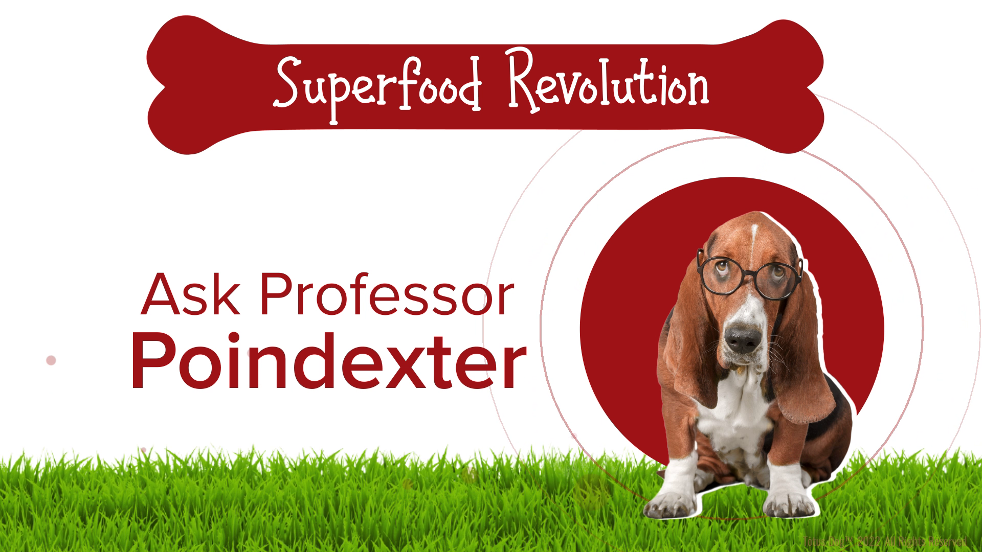 Grafik-Design von Rickyy für Actus Analytical, Inc. | Design #28127821