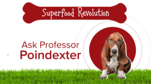 Diseño Gráfico por Rickyy para Actus Analytical, Inc. | Diseño: #28127821