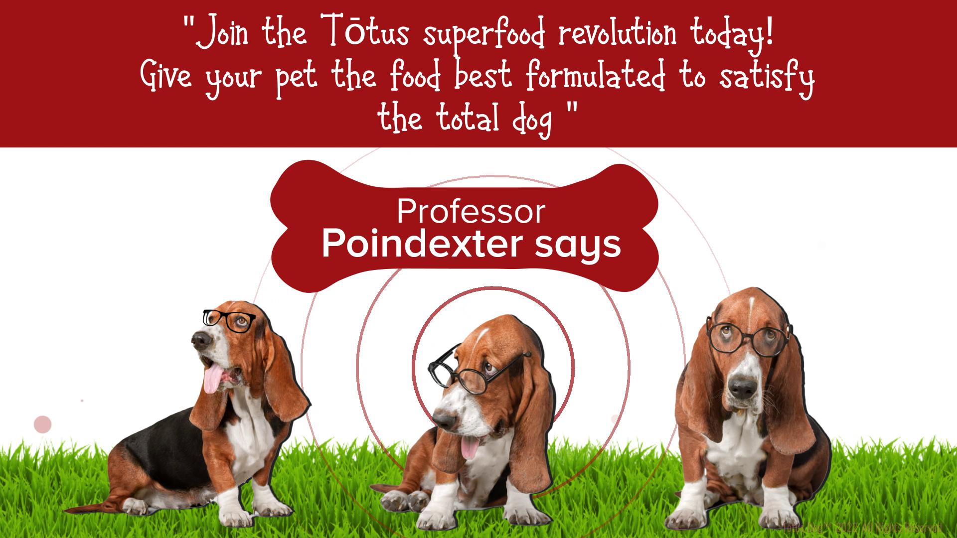 Grafik-Design von Rickyy für Actus Analytical, Inc. | Design #28127823