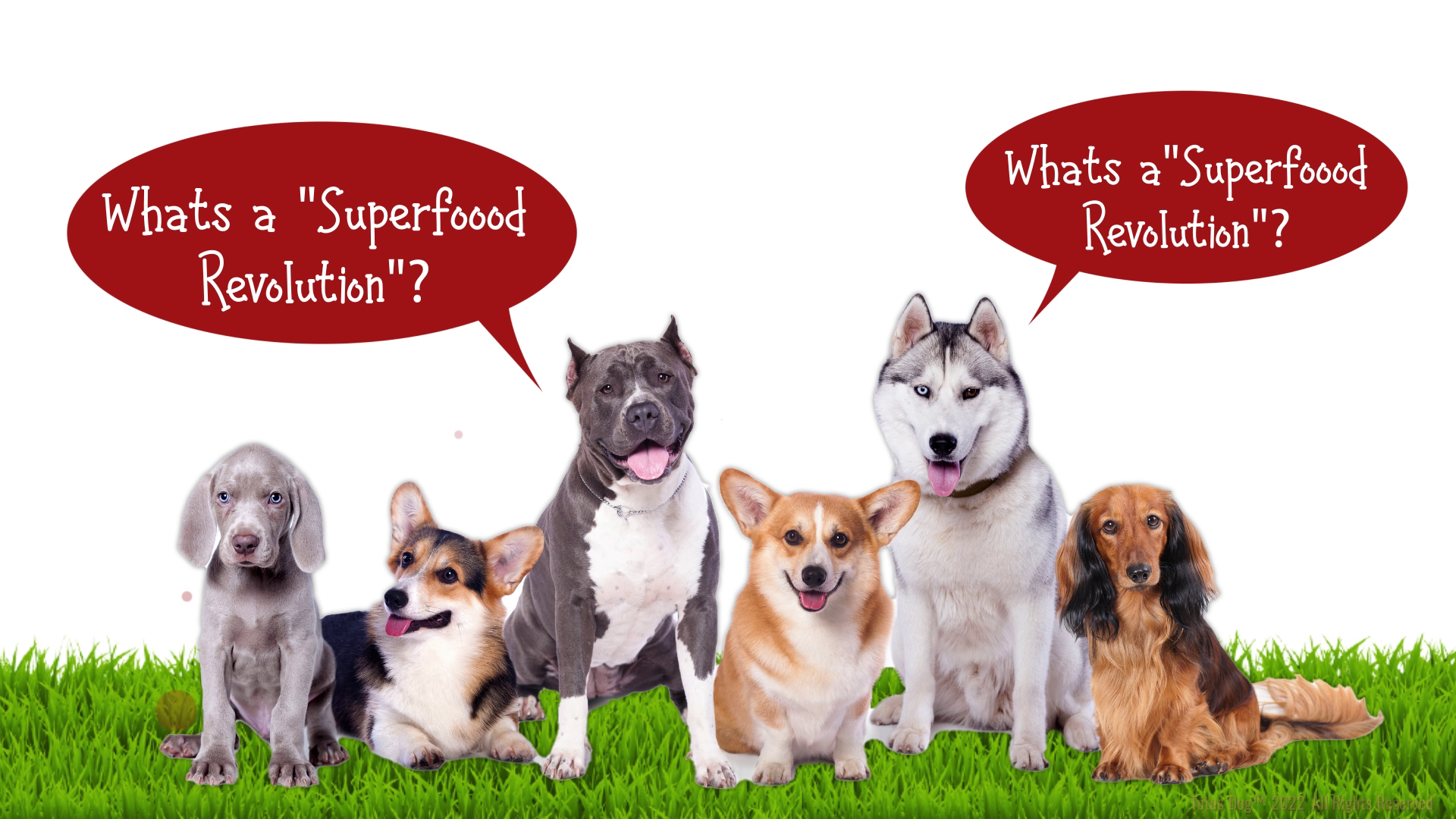 Grafik-Design von Rickyy für Actus Analytical, Inc. | Design #28127824