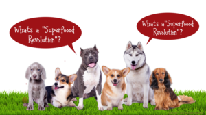 Diseño Gráfico por Rickyy para Actus Analytical, Inc. | Diseño: #28127824